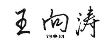 骆恒光王向涛行书个性签名怎么写