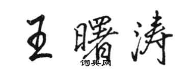 骆恒光王曙涛行书个性签名怎么写