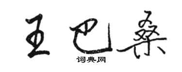 骆恒光王巴桑行书个性签名怎么写