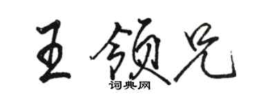 骆恒光王领兄行书个性签名怎么写