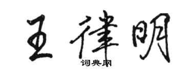 骆恒光王律明行书个性签名怎么写