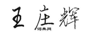 骆恒光王庄辉行书个性签名怎么写