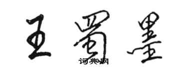 骆恒光王蜀墨行书个性签名怎么写