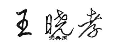 骆恒光王晓孝行书个性签名怎么写
