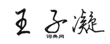 骆恒光王子凝行书个性签名怎么写