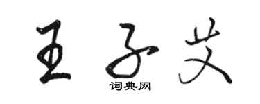骆恒光王子艾行书个性签名怎么写