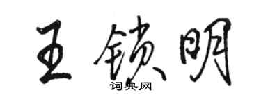 骆恒光王锁明行书个性签名怎么写