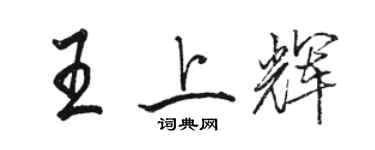 骆恒光王上辉行书个性签名怎么写