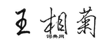 骆恒光王相菊行书个性签名怎么写
