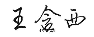 骆恒光王含西行书个性签名怎么写