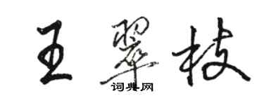 骆恒光王翠枝行书个性签名怎么写