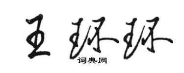 骆恒光王环环行书个性签名怎么写