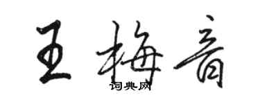 骆恒光王梅音行书个性签名怎么写