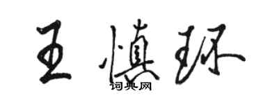 骆恒光王慎环行书个性签名怎么写