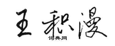 骆恒光王积漫行书个性签名怎么写