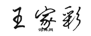 骆恒光王家彩行书个性签名怎么写