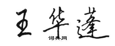 骆恒光王华蓬行书个性签名怎么写