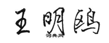 骆恒光王明鸥行书个性签名怎么写