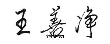 骆恒光王善净行书个性签名怎么写