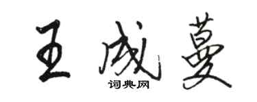 骆恒光王成蔓行书个性签名怎么写