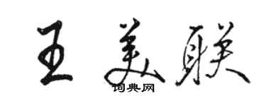 骆恒光王美联行书个性签名怎么写