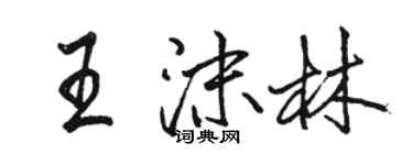 骆恒光王沫林行书个性签名怎么写