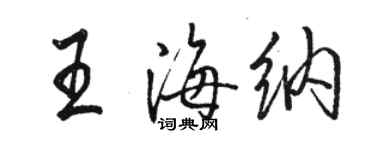 骆恒光王海纳行书个性签名怎么写
