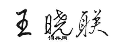骆恒光王晓联行书个性签名怎么写