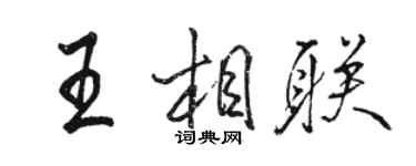 骆恒光王相联行书个性签名怎么写