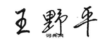 骆恒光王野平行书个性签名怎么写