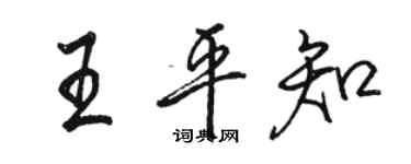 骆恒光王平知行书个性签名怎么写