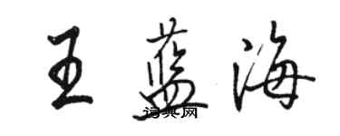 骆恒光王蓝海行书个性签名怎么写