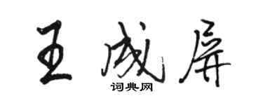骆恒光王成屏行书个性签名怎么写