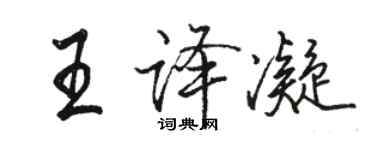 骆恒光王译凝行书个性签名怎么写