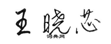 骆恒光王晓芯行书个性签名怎么写