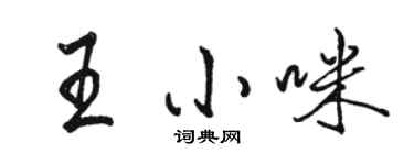 骆恒光王小咪行书个性签名怎么写
