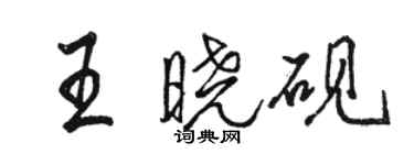 骆恒光王晓砚行书个性签名怎么写