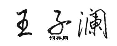 骆恒光王子澜行书个性签名怎么写