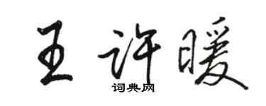 骆恒光王许暖行书个性签名怎么写