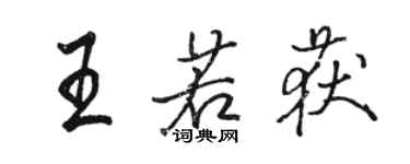 骆恒光王若获行书个性签名怎么写