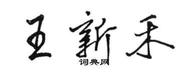 骆恒光王新禾行书个性签名怎么写