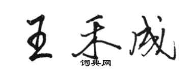 骆恒光王禾成行书个性签名怎么写