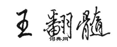 骆恒光王翻髓行书个性签名怎么写