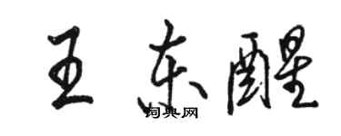 骆恒光王东醒行书个性签名怎么写