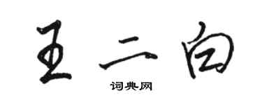 骆恒光王二白行书个性签名怎么写