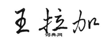 骆恒光王拉加行书个性签名怎么写