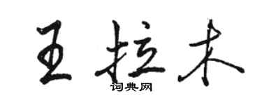 骆恒光王拉木行书个性签名怎么写