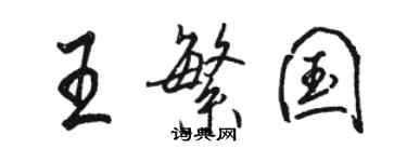 骆恒光王繁国行书个性签名怎么写