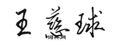 骆恒光王慈球行书个性签名怎么写