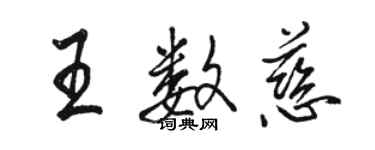骆恒光王数慈行书个性签名怎么写